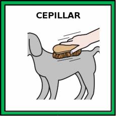 CEPILLAR (AL PERRO) - Pictograma (color)
