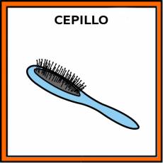 CEPILLO (DEL PELO) - Pictograma (color)
