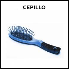 CEPILLO (DEL PELO) - Foto