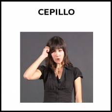 CEPILLO (DEL PELO) - Signo