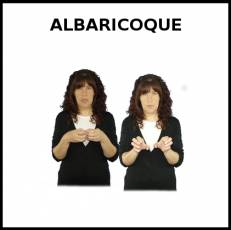 ALBARICOQUE - Signo