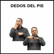 DEDOS DEL PIE - Signo