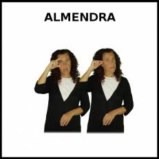 ALMENDRA - Signo