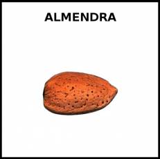 ALMENDRA - Foto