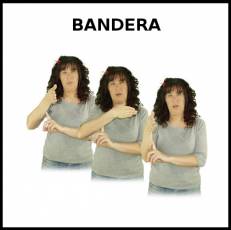 BANDERA - Signo