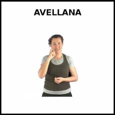 AVELLANA - Signo