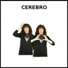 CEREBRO - Signo