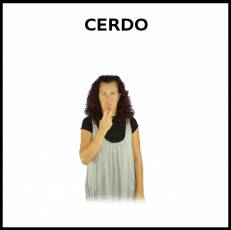 CERDO - Signo