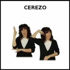 CEREZO - Signo