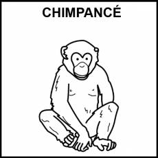 CHIMPANCÉ - Pictograma (blanco y negro)