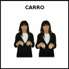 CARRO (SUPERMERCADO) - Signo