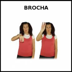 BROCHA - Signo