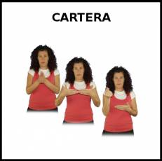 CARTERA (BILLETERA) - Signo