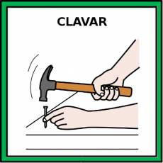 CLAVAR - Pictograma (color)