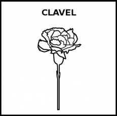 CLAVEL - Pictograma (blanco y negro)