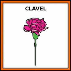 CLAVEL - Pictograma (color)