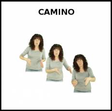 CAMINO - Signo