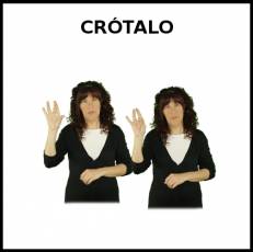 CRÓTALO - Signo
