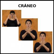 CRÁNEO - Signo