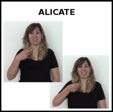 ALICATE - Signo