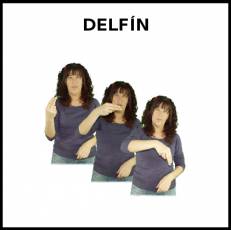 DELFÍN - Signo