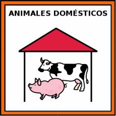 ANIMALES DOMÉSTICOS - Pictograma (color)