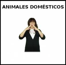 ANIMALES DOMÉSTICOS - Signo