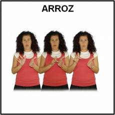ARROZ - Signo