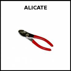 ALICATE - Foto