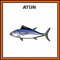 ATÚN (ANIMAL) - Pictograma (color)