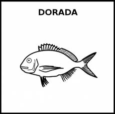 DORADA (ANIMAL) - Pictograma (blanco y negro)