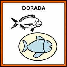 DORADA (ALIMENTO) - Pictograma (color)