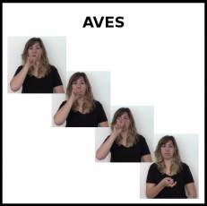 AVES - Signo