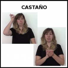 CASTAÑO (COLOR DE PELO) - Signo