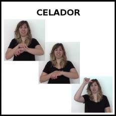 CELADOR - Signo