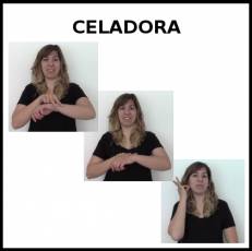 CELADORA - Signo