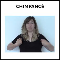 CHIMPANCÉ - Signo
