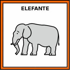 ELEFANTE - Pictograma (color)