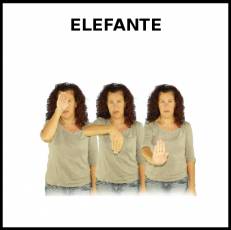ELEFANTE - Signo