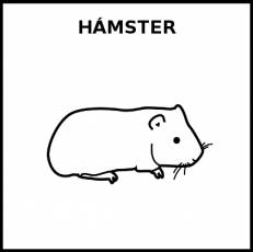 HÁMSTER - Pictograma (blanco y negro)