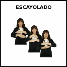 ESCAYOLADO - Signo