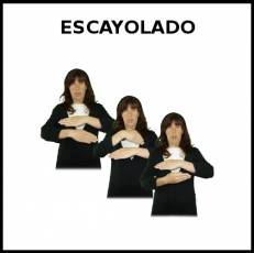 ESPARADRAPO - Signo