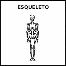 ESQUELETO - Pictograma (blanco y negro)