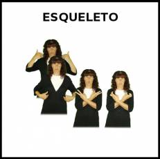 ESQUELETO - Signo