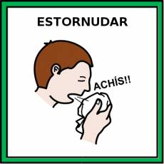 ESTORNUDAR - Pictograma (color)