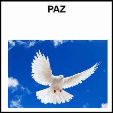 PAZ - Foto