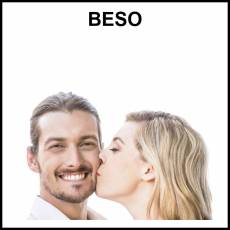 BESO - Foto