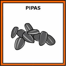 PIPAS (GIRASOL) - Pictograma (color)