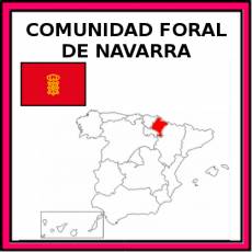 COMUNIDAD FORAL DE NAVARRA - Pictograma (color)