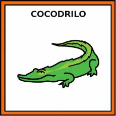 COCODRILO - Pictograma (color)